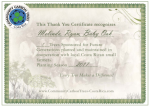 Certificate of planted tree.